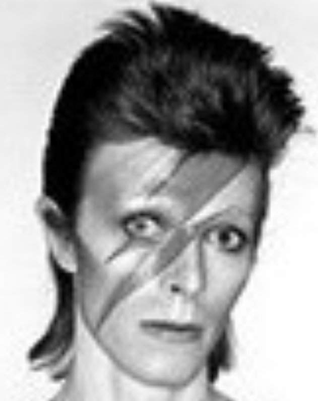 Portrait of David BOWIE