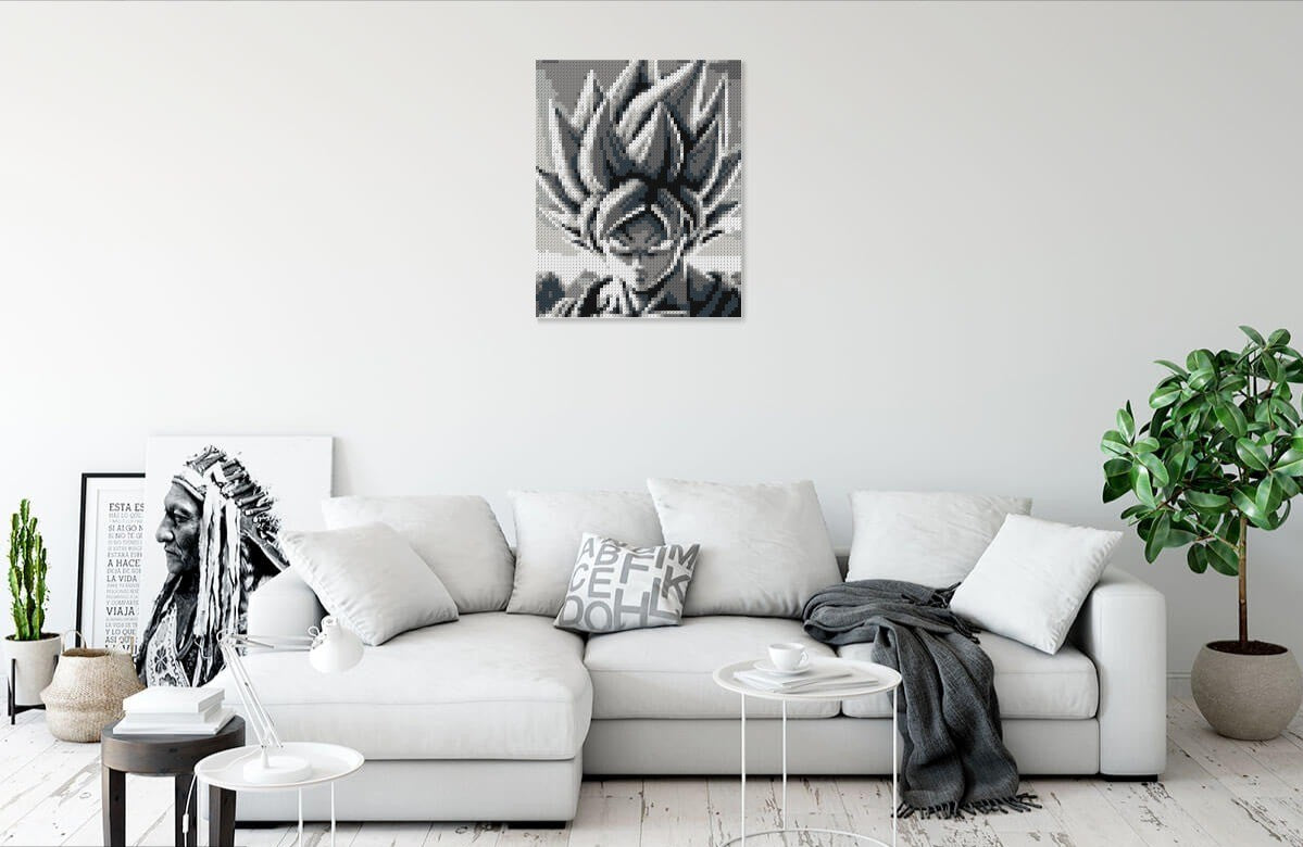 Portrait of SANGOKU Dragon Ball