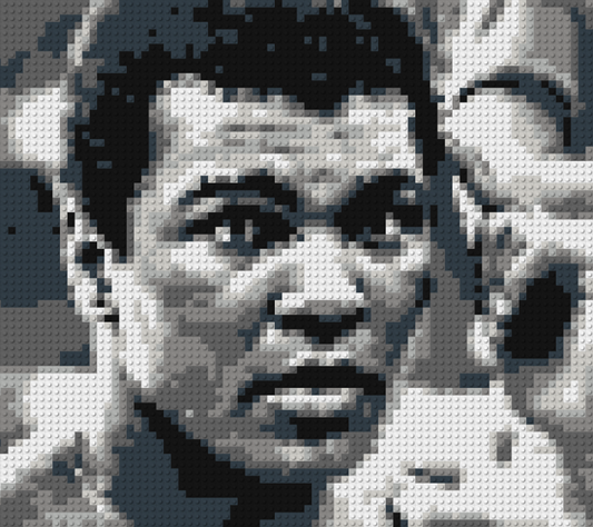 Portrait of Mohamed ALI