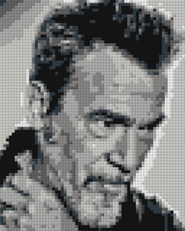 PORTRAIT LEGO Florent PAGNY