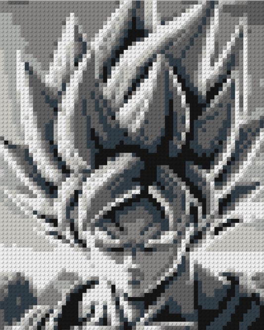 Portrait of SANGOKU Dragon Ball